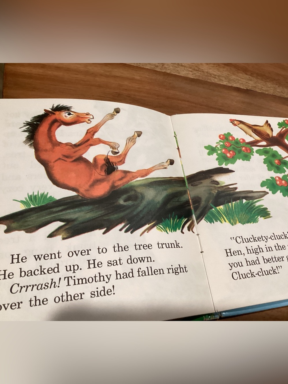 Vtg. 1958 Children’s book titled Where Timothy Lives written by Betty Ren Wright - Picture 5 of 5